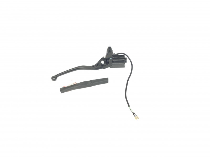 (WHOLESALE) Rear Brake Master Cylinder Coral 125