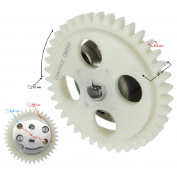 NXT300 oleium pump