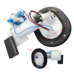 Fuel Pump with Fuel Level Sensor-VOGE 300R