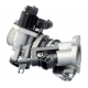 Complete throttle body Blade R