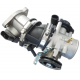 Complete throttle body Blade R