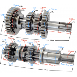 Gearbox Bashan 200cc