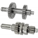 Gear box for engine ATV 110 1+1