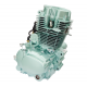 Engine ATV 250cc green air cooled