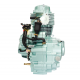 Engine ATV 250cc green air cooled