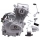 Vertical Moretti engine 162FMJ, 150cc 4T, 5 speed manual, silver Vertical Moretti engine 162FMJ, 150cc 4T, 5 speed manual, silver