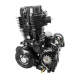 Vertical engine 167FMM, 250cc 4T, 5 speed manual, black