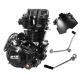 Vertical engine 167FMM, 250cc 4T, 5 speed manual, black