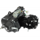 Moretti 50cc engine for moped, black