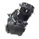 Moretti 250 cc CB ZS169 FMM engine, air-cooled, black with carburetor