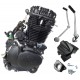 Moretti 250 cc CB ZS169 FMM engine, air-cooled, black with carburetor