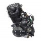 Zongshen 250cc CB ZS165 FMM engine air cooled black with carburetor