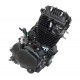 Zongshen 250cc CB ZS165 FMM engine air cooled black with carburetor
