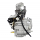 Vertical Moretti engine 250cc 4T, 5-speed manual