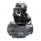 Vertical Moretti engine 250cc 4T, 5-speed manual black Vertical Moretti engine 250cc 4T, 5-speed manual black