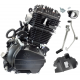 Vertical Moretti engine 250cc 4T, 5-speed manual black Vertical Moretti engine 250cc 4T, 5-speed manual black