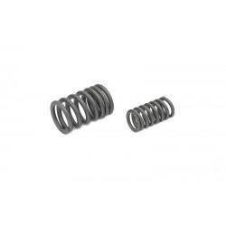 Valve springs for Cafe Racer motorcycle
