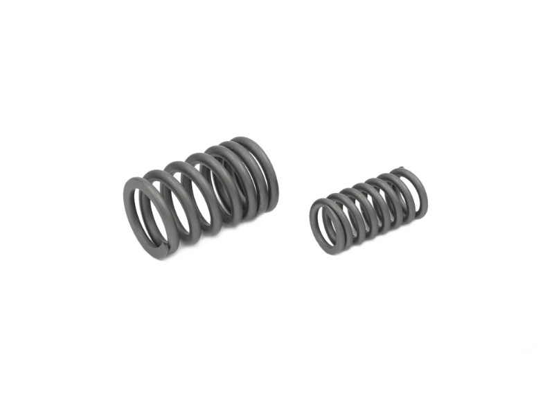 Valve springs for Cafe Racer motorcycle