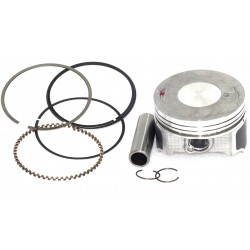 Piston with NXT250 rings