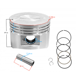 Piston with complete rings NXT125