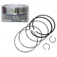 Piston for Tactic 550