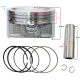 Piston for Tactic 550