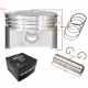 Piston set CG250 (67mm)