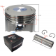 DB250 MZK piston set