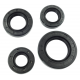 Sealants set for CB250/CG125