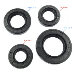 Sealants set for CB250/CG125
