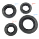 Sealants set for CB250/CG125