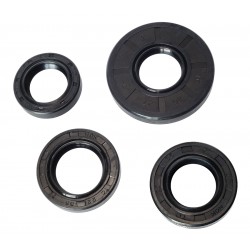 Simson seal kit