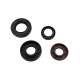 Engine seals for 2T scooter (set) Engine seals for 2T scooter (set)