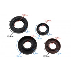 Engine seals for 2T scooter (set)