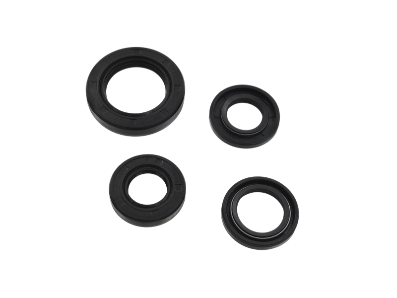 Engine seals for 4T scooter (set)