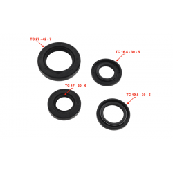 Engine seals for 4T scooter (set)