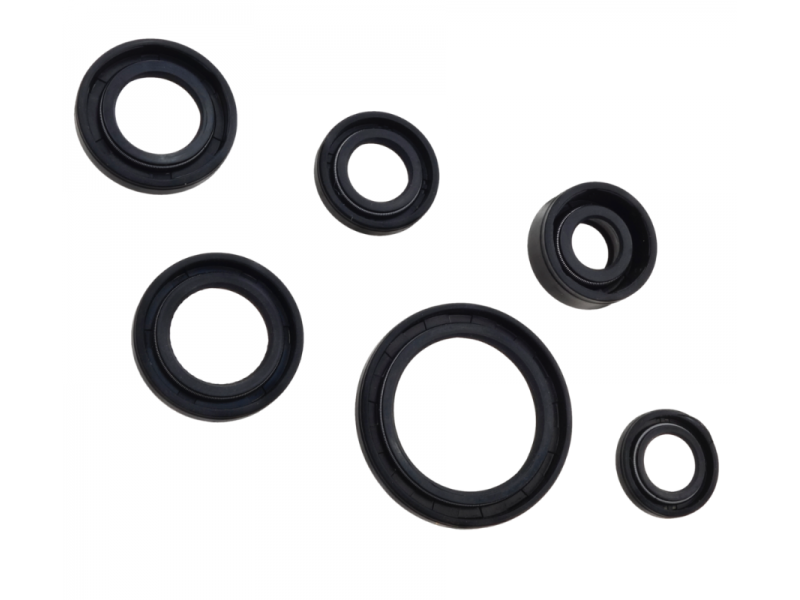Sealers for ATV 110 (set)