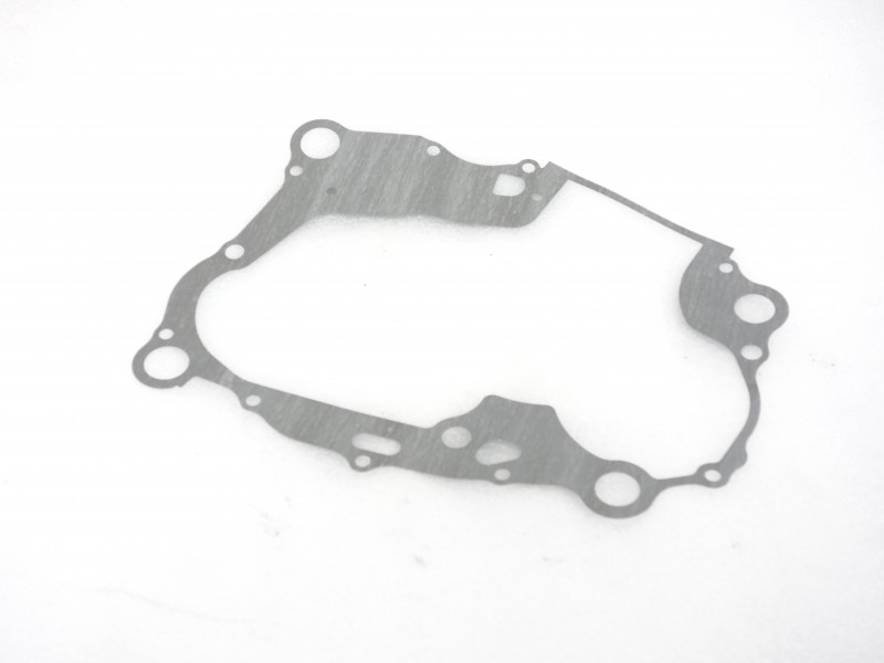 Crankcase gasket NXT300