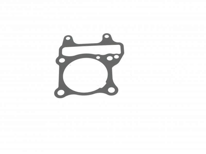 Cylinder seal X-trail 125