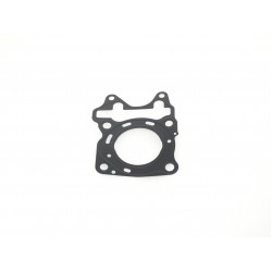 Head seal X-trail 125