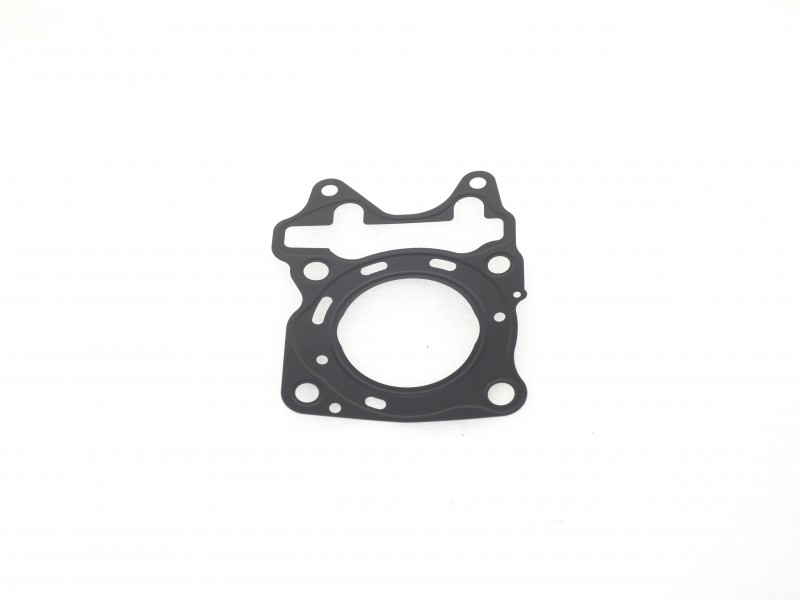 Head seal X-trail 125
