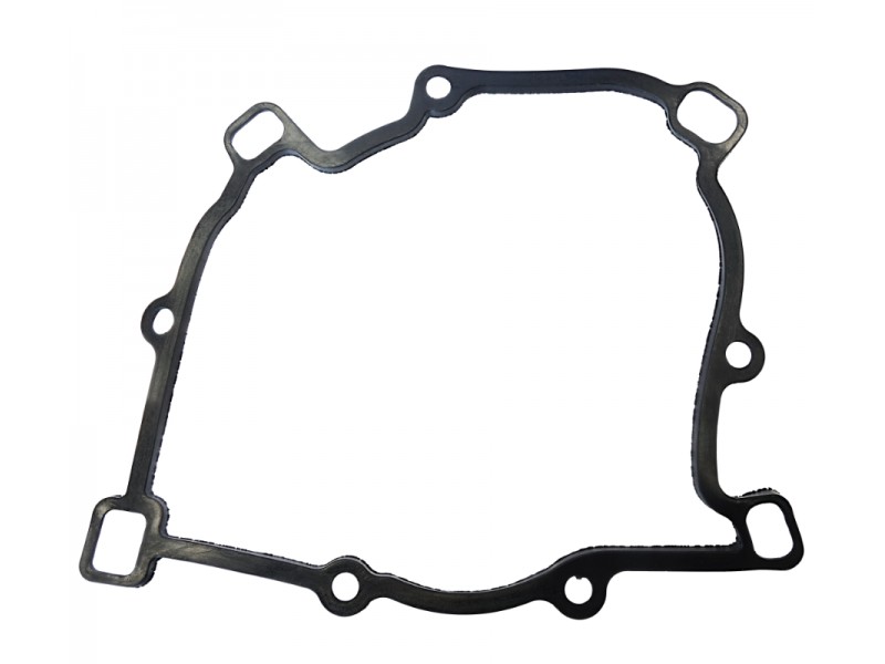 Crankcase seal for Tactic 550