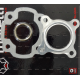 Cylinder seal 2T 50 scooter