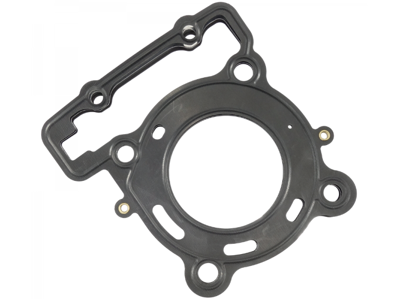Head seal GP1 Blade R