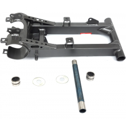 Rear wishbone Discover 200
