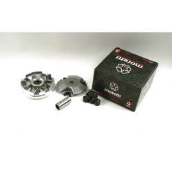 Variator BWS 50 2T