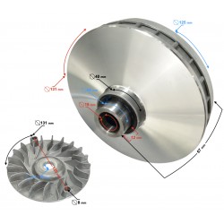 Variator fan YP250