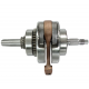 NXT300 crankshaft