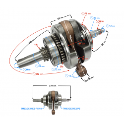 NXT300 crankshaft