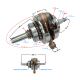 NXT300 crankshaft